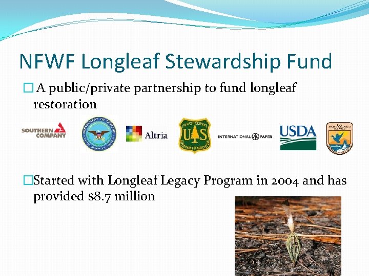 NFWF Longleaf Stewardship Fund � A public/private partnership to fund longleaf restoration �Started with