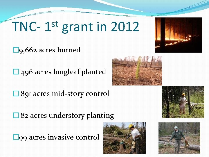 TNC- st 1 grant in 2012 � 9, 662 acres burned � 496 acres