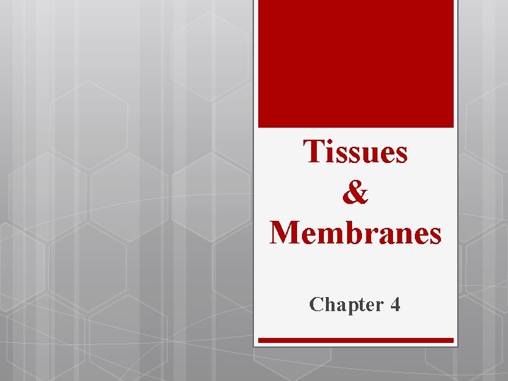 Tissues & Membranes Chapter 4 