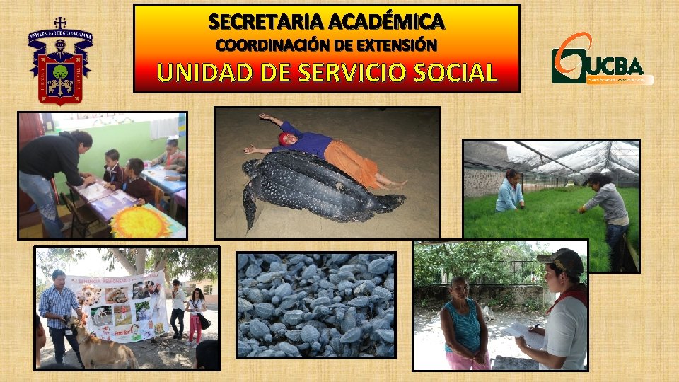 SECRETARIA ACADÉMICA COORDINACIÓN DE EXTENSIÓN UNIDAD DE SERVICIO SOCIAL 