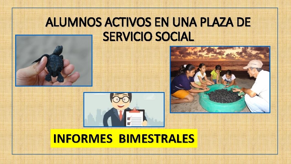 ALUMNOS ACTIVOS EN UNA PLAZA DE SERVICIO SOCIAL INFORMES BIMESTRALES 