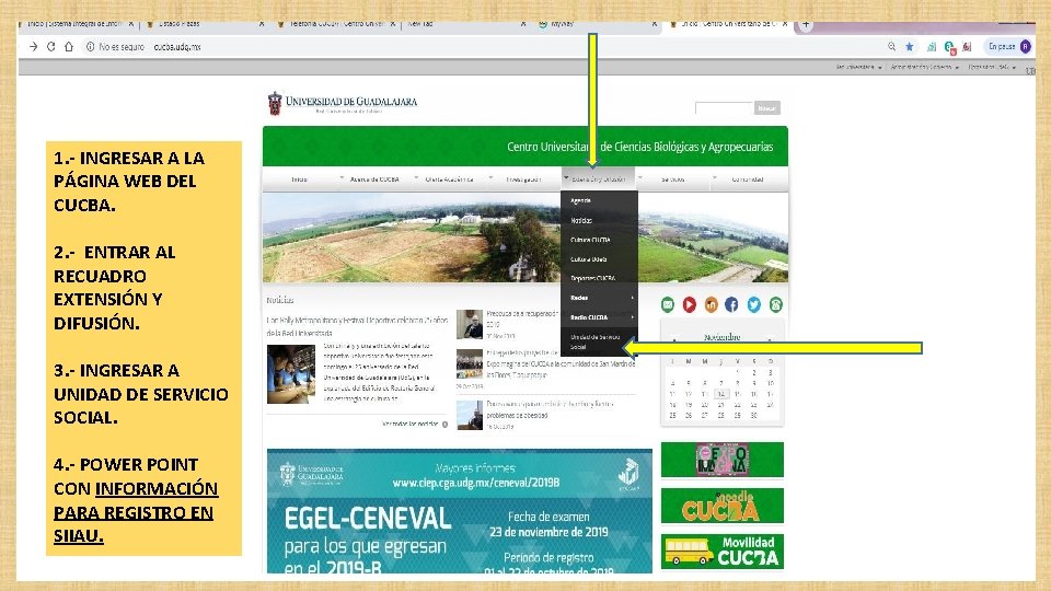 1. - INGRESAR A LA PÁGINA WEB DEL CUCBA. 2. - ENTRAR AL RECUADRO