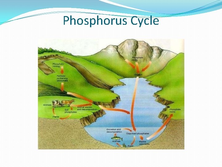 ENVIRONMENTAL STUDIES WHAT IS ENVIRONMENT The natural world