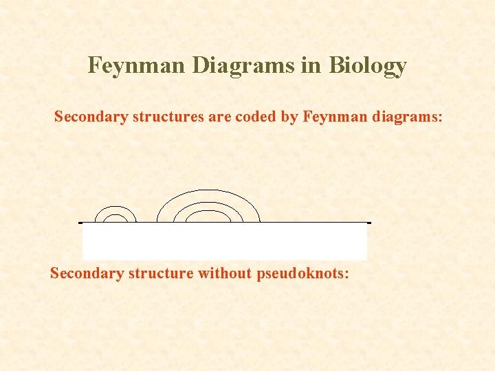 Feynman Diagrams in Biology Secondary structures are coded by Feynman diagrams: Secondary structure without