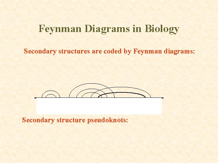 Feynman Diagrams in Biology Secondary structures are coded by Feynman diagrams: Secondary structure pseudoknots: