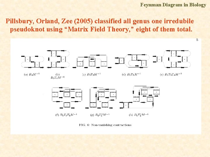 Feynman Diagram in Biology Pillsbury, Orland, Zee (2005) classified all genus one irredubile pseudoknot