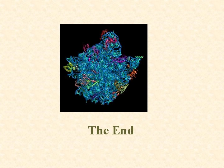 The End 