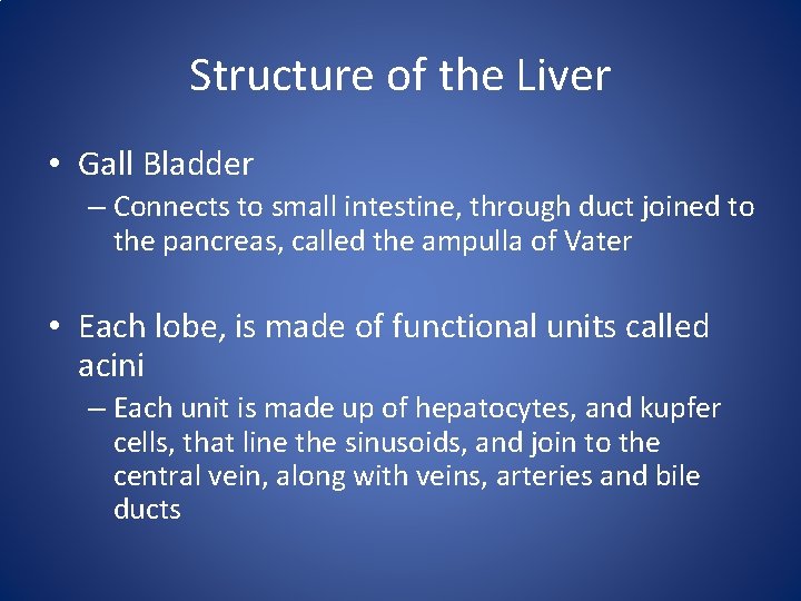 Structure of the Liver • Gall Bladder – Connects to small intestine, through duct