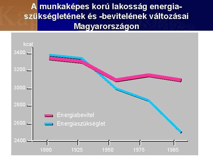 A munkaképes korú lakosság energiaszükségletének és -bevitelének változásai Magyarországon kcal 3400 3200 3000 2800