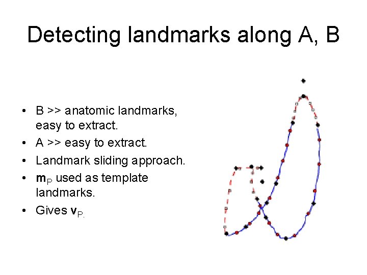 Detecting landmarks along A, B • B >> anatomic landmarks, easy to extract. • Detecting landmarks along A, B • B >> anatomic landmarks, easy to extract. •