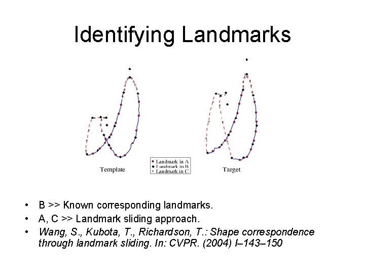 Identifying Landmarks • B >> Known corresponding landmarks. • A, C >> Landmark sliding Identifying Landmarks • B >> Known corresponding landmarks. • A, C >> Landmark sliding
