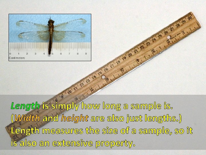 Length is simply how long a sample is. (Width and height are also just