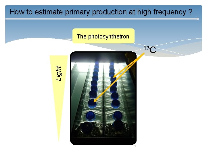 How to estimate primary production at high frequency ? The photosynthetron Light 13 C