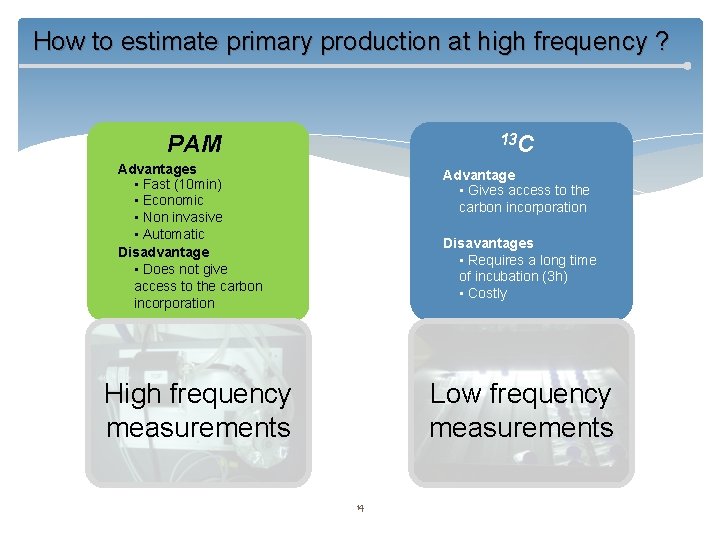 How to estimate primary production at high frequency ? PAM 13 C Advantages •