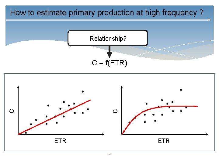How to estimate primary production at high frequency ? Relationship? C C C =