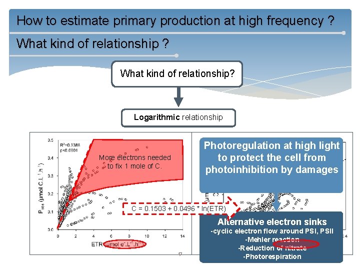 How to estimate primary production at high frequency ? What kind of relationship? Logarithmic