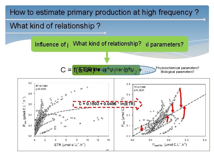 How to estimate primary production at high frequency ? What kind of relationship? Influence