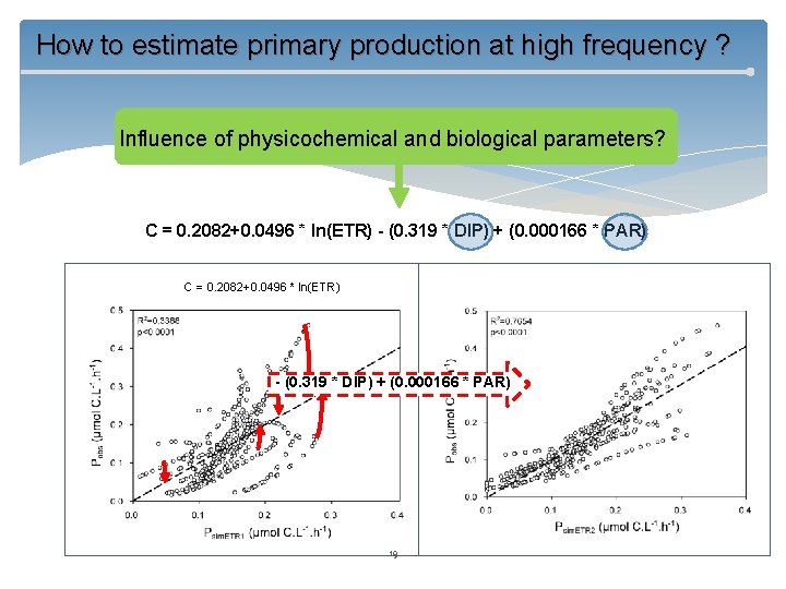 How to estimate primary production at high frequency ? Influence of physicochemical and biological