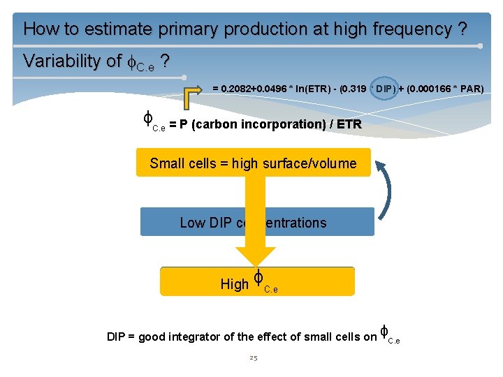 How to estimate primary production at high frequency ? Variability of C. e ?