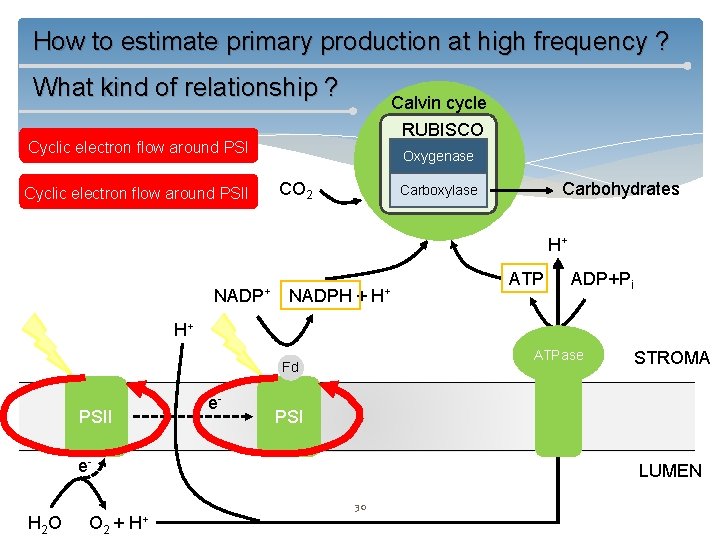 How to estimate primary production at high frequency ? What kind of relationship ?