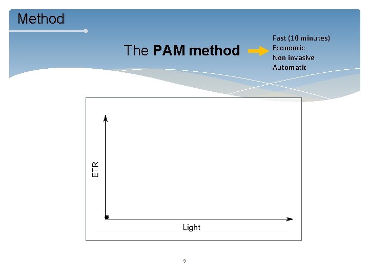 Method The PAM method ETRmax Maximal electron transport rate α Maximal light utilization efficiency