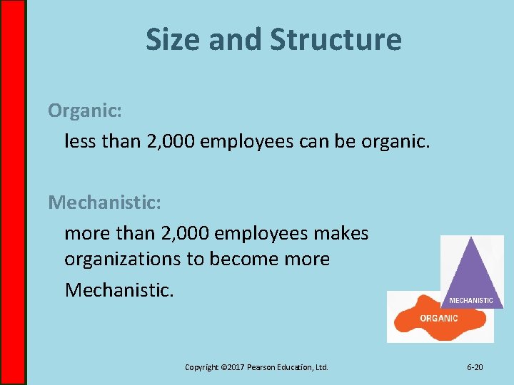 Size and Structure Organic: less than 2, 000 employees can be organic. Mechanistic: more