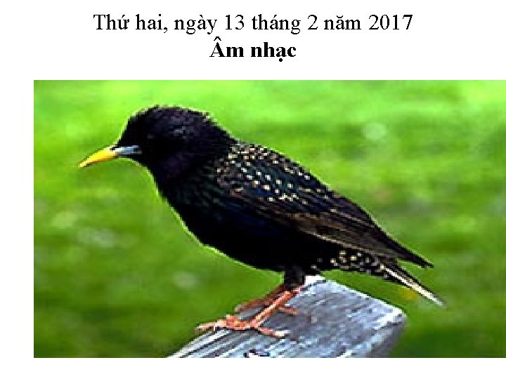 Thứ hai, ngày 13 tháng 2 năm 2017 m nhạc 