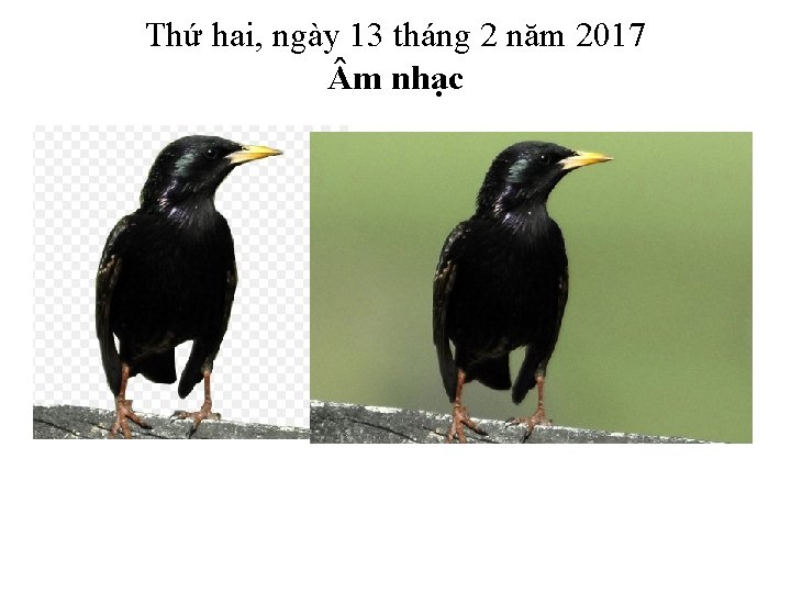 Thứ hai, ngày 13 tháng 2 năm 2017 m nhạc 