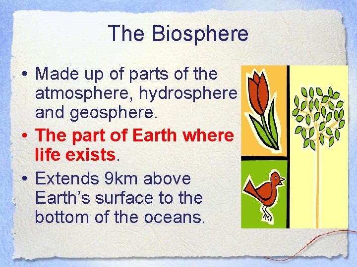 The Biosphere • Made up of parts of the atmosphere, hydrosphere and geosphere. •