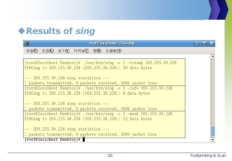 u. Results of sing 20 Footprinting & Scan 