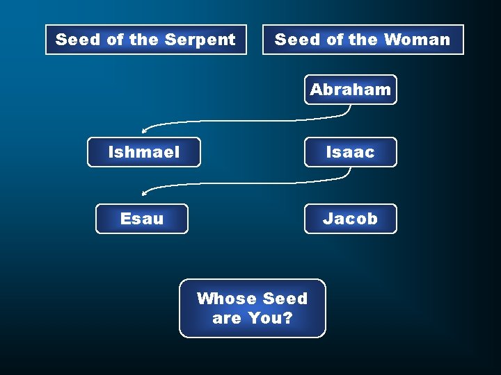 Seed of the Serpent Seed of the Woman Abraham Ishmael Isaac Esau Jacob Whose