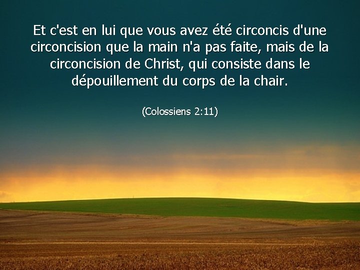 Et c'est en lui que vous avez été circoncis d'une circoncision que la main