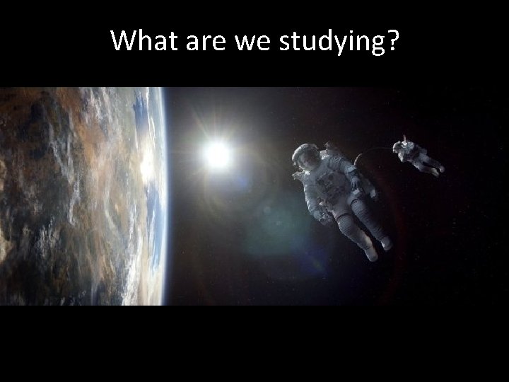 What are we studying? 