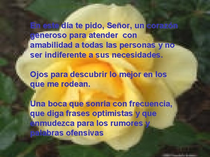 En este día te pido, Señor, un corazón generoso para atender con amabilidad a