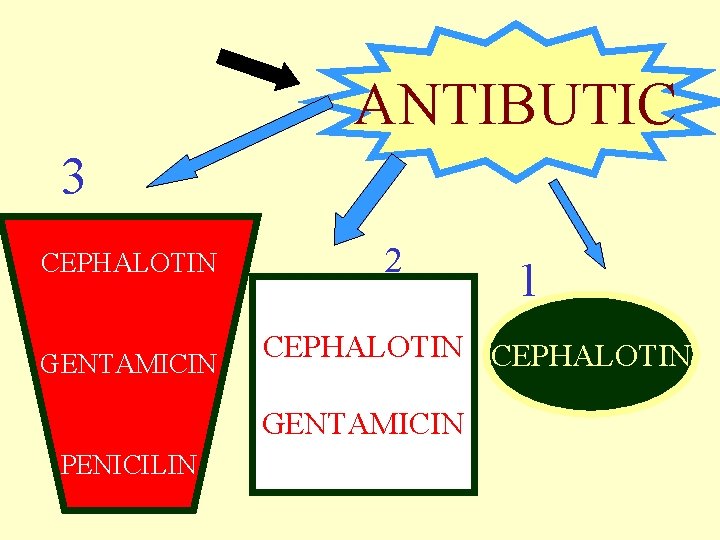 ANTIBUTIC 3 CEPHALOTIN GENTAMICIN 2 CEPHALOTIN GENTAMICIN PENICILIN 1 