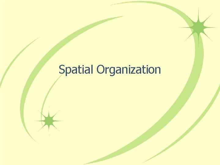 Spatial Organization 