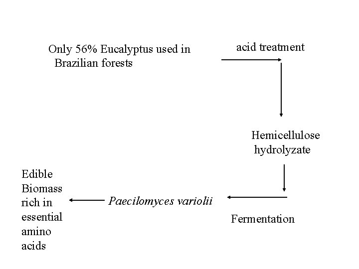 Only 56% Eucalyptus used in Brazilian forests acid treatment Hemicellulose hydrolyzate Edible Biomass rich