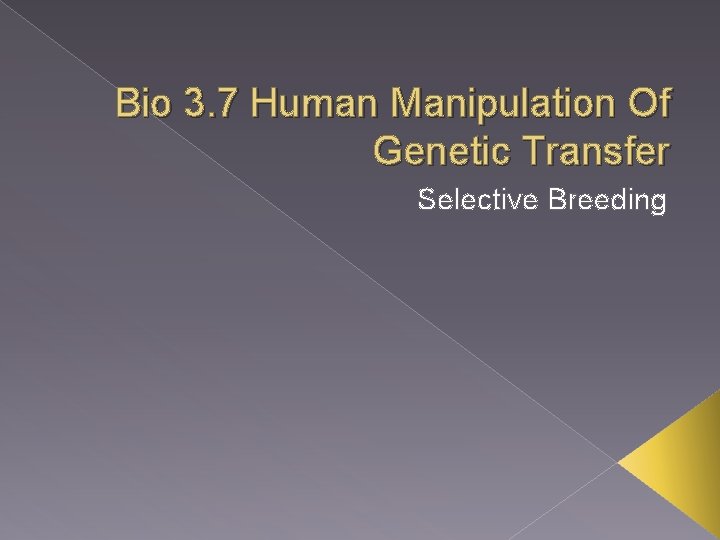 Bio 3. 7 Human Manipulation Of Genetic Transfer Selective Breeding 
