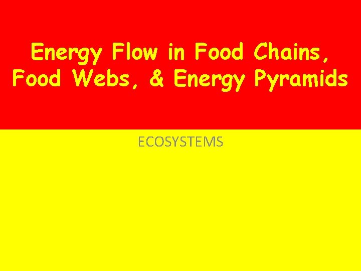 Energy Flow in Food Chains, Food Webs, & Energy Pyramids ECOSYSTEMS 
