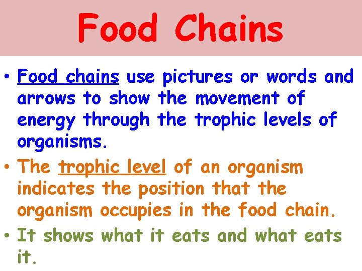 Food Chains • Food chains use pictures or words and arrows to show the