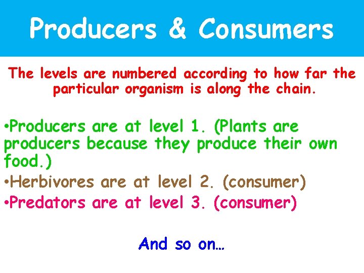 Producers & Consumers The levels are numbered according to how far the particular organism
