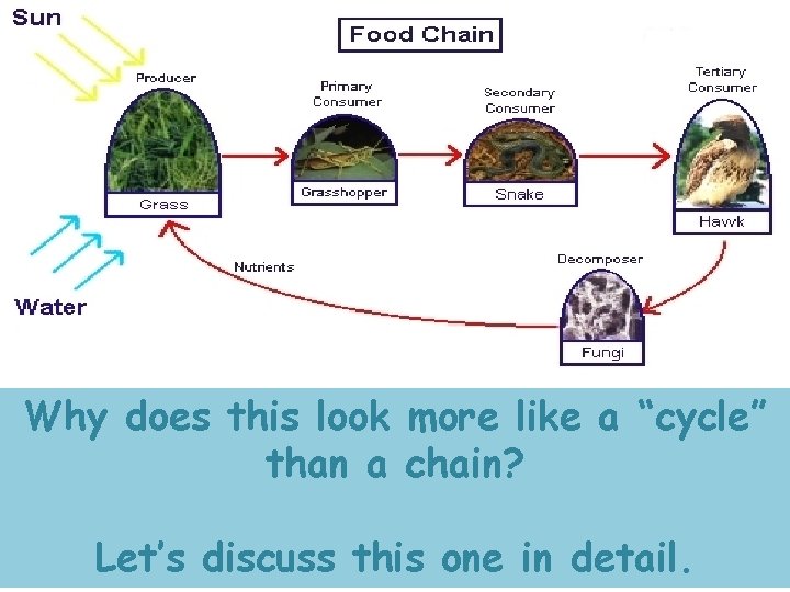 Why does this look more like a “cycle” than a chain? Let’s discuss this