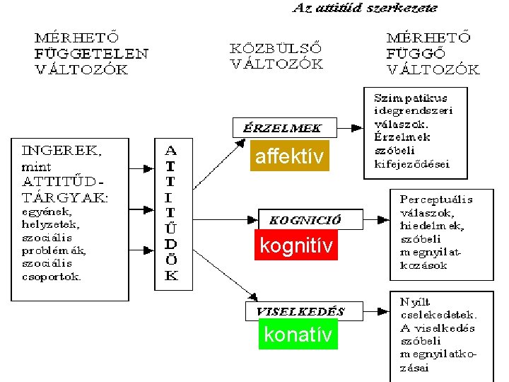 affektív kognitív konatív 