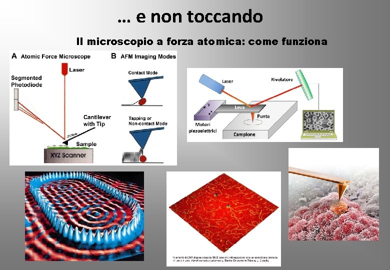 … e non toccando Il microscopio a forza atomica: come funziona 