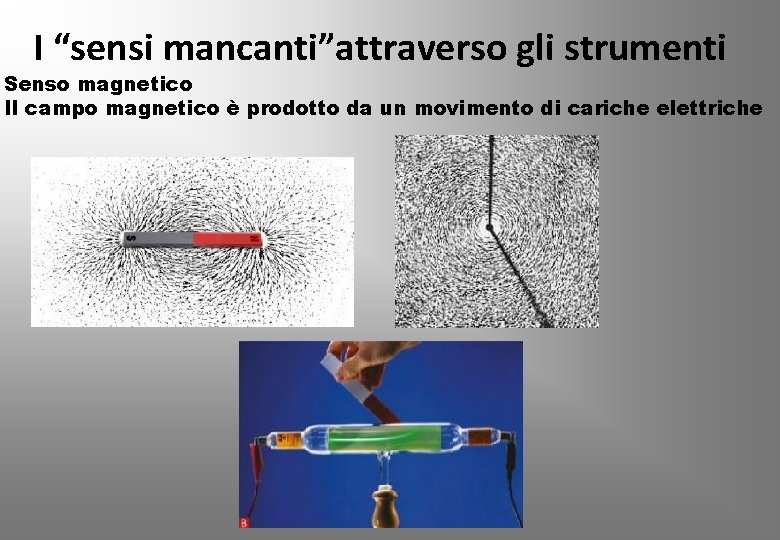 I “sensi mancanti”attraverso gli strumenti Senso magnetico Il campo magnetico è prodotto da un