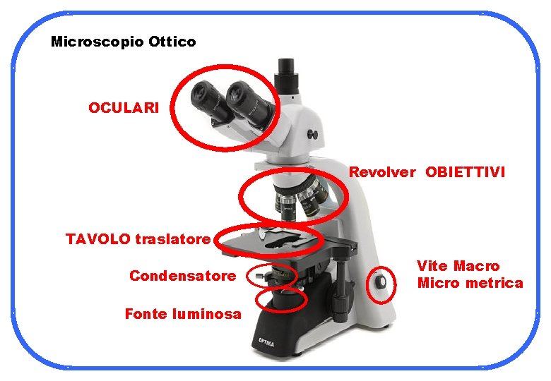 Microscopio Ottico OCULARI Revolver OBIETTIVI TAVOLO traslatore Condensatore Fonte luminosa Vite Macro Micro metrica