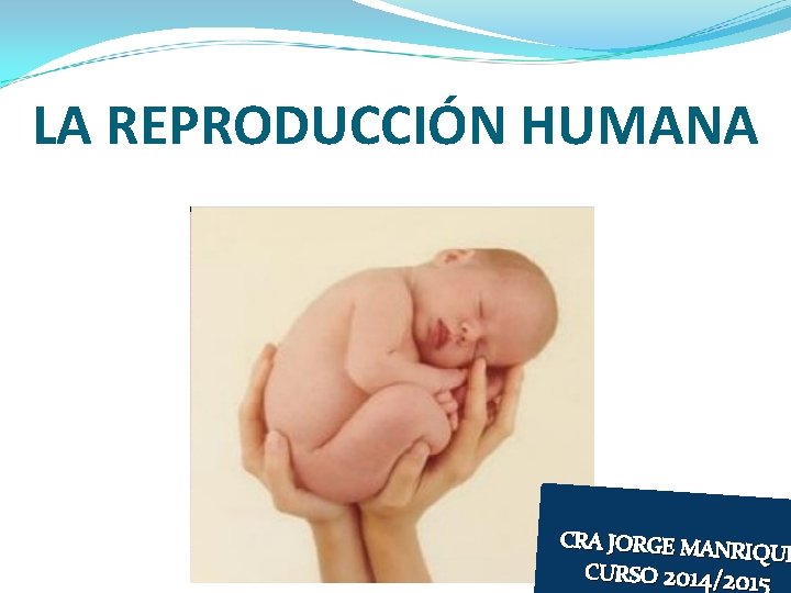 LA REPRODUCCIÓN HUMANA CRA JORGE MAN RIQUE CURSO 2014/2015 