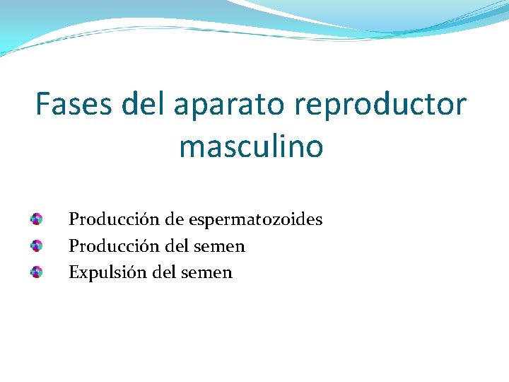 Fases del aparato reproductor masculino Producción de espermatozoides Producción del semen Expulsión del semen