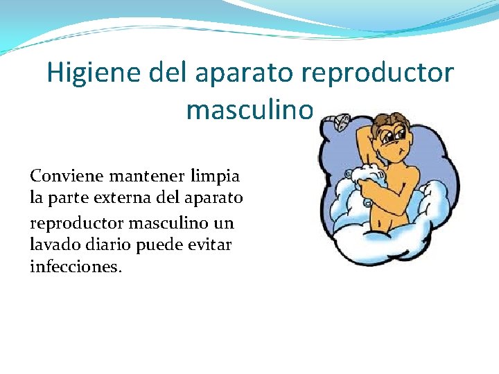 Higiene del aparato reproductor masculino Conviene mantener limpia la parte externa del aparato reproductor