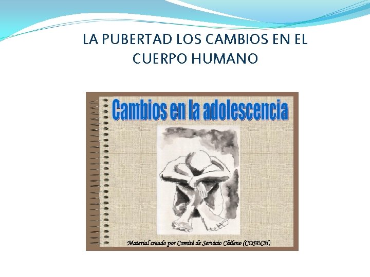 LA PUBERTAD LOS CAMBIOS EN EL CUERPO HUMANO 